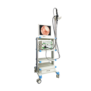 LTEG26 Medical CE Approved Fiber Endoscope Gastroscope <strong>Enteroscopy</strong> HD Imaging System Video Endoscape Equipment - Product Image 5