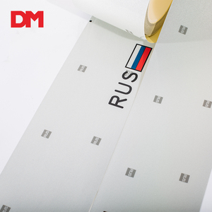DM-pegatinas para placa de <span class=keywords><strong>matrícula</strong></span> de coche, tecnología antipostizas de alta calidad, tipo relieve, Rusia - Product Image 3