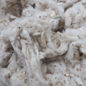 Contacter Thanh Vin respectueux de l'environnement 100% coton Lickerin a et bandes plates de mouche de carte de B - Product Image 1