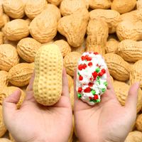 Bâtonnets de maïs croustillants et moelleux, cadeaux promotionnels faits à la main, savon au maïs, bâtonnets de fromage, blocs à presser anti-stress, balles anti-stress