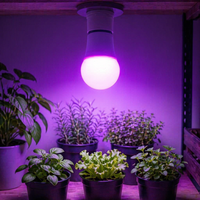 Ampoule de culture pour plantes d'intérieur, rouge et bleue, à intensité variable, sans scintillement, 120V E26, pour plantes d'intérieur, semis, floraison