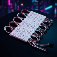 WS2811 5050 RGB Módulo de luz LED Direccionable 12V 75*15mm Tamaño a todo color Impermeable IP65 3LED 5W Potencia Rosa Emisión