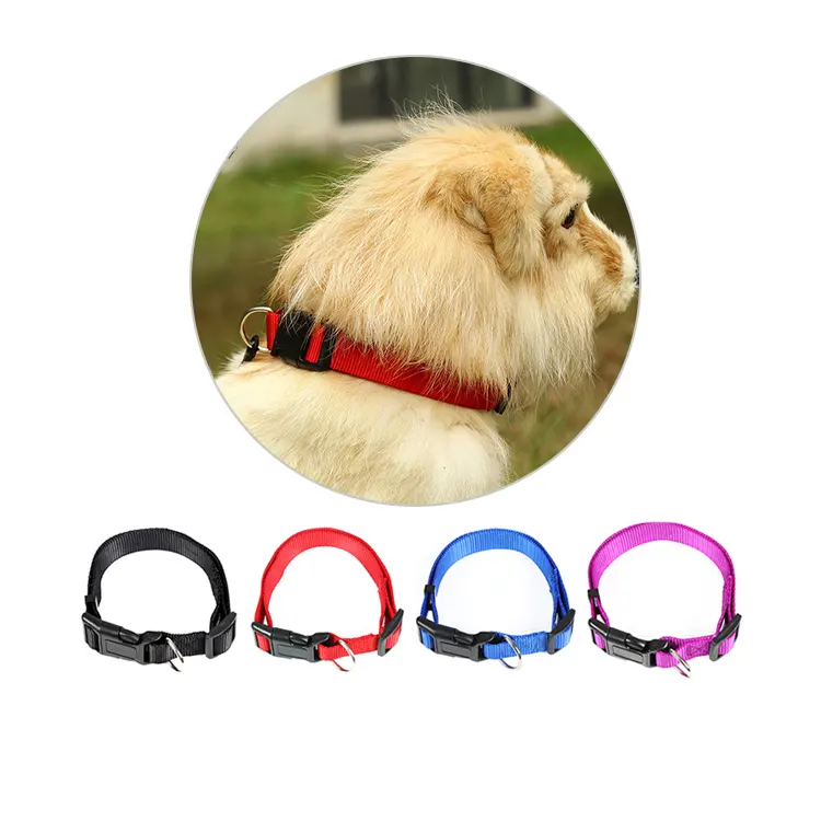 Hot Sales Custom Personaliezd Multicolor Adjustable Pet Collars Luxury Dog Collar