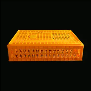 Poultry Farm Use Transport Crates Plastic Pigeon Cages for Sale