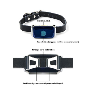 Localizador G12, Rastreador <span class=keywords><strong>GPS</strong></span> Inteligente Inalámbrico Antipérdida para Gatos, <span class=keywords><strong>Collar</strong></span> Resistente al Agua, Rastreador de Mascotas - Product Image 2