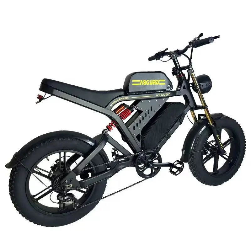 Bateria de lítio para motocicletas elétricas adultas, veículo elétrico de duas rodas, 800w, para uso ao ar livre, motocicletas esportivas, 20 polegadas