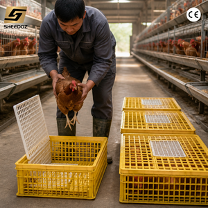 Jaula <span class=keywords><strong>de</strong></span> Transporte para Aves <span class=keywords><strong>de</strong></span> Corral, Jaula para Transporte <span class=keywords><strong>de</strong></span> Pollos, Transportador <span class=keywords><strong>de</strong></span> Aves Vivas, Jaula Apilable para Envío en Granjas Avícolas - Product Image 3