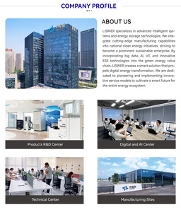 Lisiner แพ็คเก็บพลังงานลิเธียมไอออน280AH-314AH เชิงพาณิชย์อุตสาหกรรม IP54แป้งชุบเย็น1P52S-280Ah แบบออนกริด/ ออฟกริด - Product Image 1