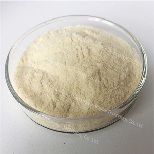 98% порошок чая сапонина, оптовая цена, экстракт семян камелии Sinensis, Чай Сапонин - Product Image 2