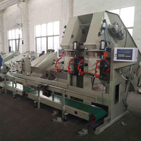 Machine d'emballage automatique NEWEEK pour ail et oignon en filet, machines d'emballage multifonctions