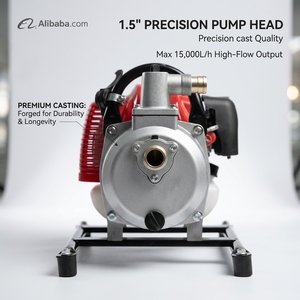 Bomba de Agua Portátil de Gasolina Autocebante de 1-1.5 Pulgadas con Motor de Gasolina de 4 Tiempos, Precio en Pakistán WP15 Ultraligera y Portátil - Product Image 6