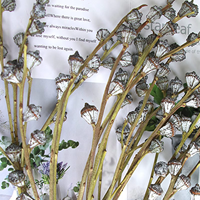 Expédition en lot de l'usine : Fruits d'eucalyptus séchés naturels pour la maison, les fêtes, les mariages, Noël, la Saint-Valentin – Écologiques et longue durée