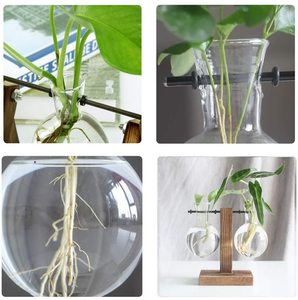 Idroponica Vaso di Fiori Dell'annata Desktop Pianta Terrari Fioriera Lampadina Vaso di Vetro Acqua Impianto di Propagazione Stazioni Libra Fioriera - Product Image 5