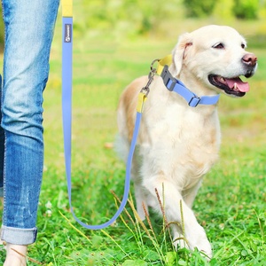 Logo personalizzato della fabbrica diretta in PVC moda impermeabile a contrasto Macaron colore Pet guinzaglio guinzaglio cane e collare Set per esterni - Product Image 6