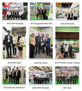 Hữu Cơ tinh khiết <span class=keywords><strong>Stevia</strong></span> lá chiết xuất bột 90% 98% 99% stevioside đường số lượng lớn chất làm ngọt <span class=keywords><strong>Stevia</strong></span> lá chiết xuất bột giá mỗi kg - Product Image 6