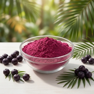 Poudre d'extrait de baies d'açaï, poudre de jus et poudre de fruits hydrosolubles pour boissons - Product Image 2