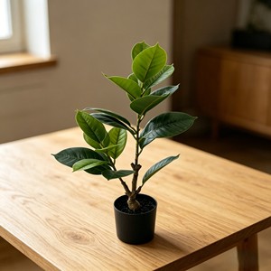 Bonsai Rubber <b>Tree</b> Indoor Landscape Decoration Simulation Plant Decoration Simulation Leaves - Product Image 5