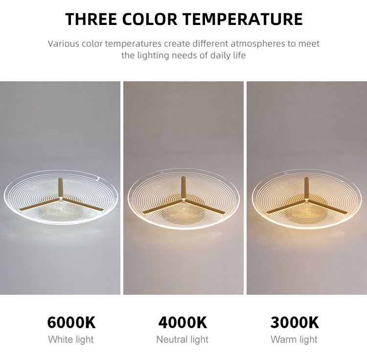 Modern Nordic Popular Indoor Decorative Living Room Bedroom Luxury Acrylic Modern Led Ceiling Light
