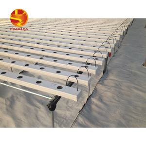 Prasada Invernadero comercial granja de lechuga <span class=keywords><strong>NFT</strong></span> flujo Banco rodante mesa de cultivo para invernadero - Product Image 2