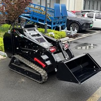 Livraison Gratuite, Mini-chargeuse compacte 500 kg économique, Euro 5, CE, EPA, avec moteur, pompe et boîte de vitesses de haute performance