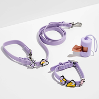 Collier pour Chien en PVC Imperméable avec Boucle en Alliage de Zinc Chromé Antirouille, Logo Personnalisé DIY, Orné de Breloques Mignonnes et Tendance