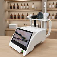 Peigne Détecteur de Follicules Capillaires Durable pour Massage du Cuir Chevelu, Injecteur d'Oxygène, Sèche-Cheveux 800W en Plastique pour Soin du Cuir Chevelu et Coiffure