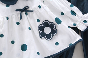 Vêtements pour bébés, vêtements d'automne pour enfants, ensembles de pantalons pour femmes, leggings et jupes fleuris pour filles, ensembles de Chine - Product Image 4