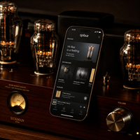 Prix en gros pour un compte Tidal Music Premium de 12 mois |   Abonnement HiFi Plus 1 an