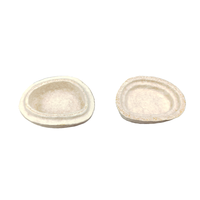 100% naturel maison compostable Marine dégradable mycélium champignons champignon bijoux cadeau montre accessoire insérer emballage boîte étui
