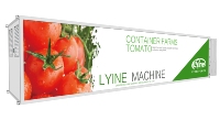 Système de culture hydroponique en conteneur vertical, solution hydroponique NFT en conteneur 40hq pour laitue, safran, basilic, épinards