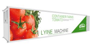 Sistema de Cultivo Hidropónico Vertical en Contenedores, Solución Hidropónica NFT en Contenedor de 40hq para Lechuga, Azafrán, Albahaca y Espinaca - Product Image 5