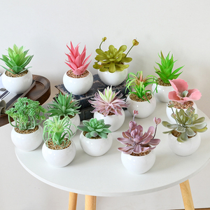 Bonsái Suculento de Cerámica Ecológico de Alta Simulación, Adornos Decorativos para el Hogar, Plantas Artificiales de Jinhua, <span class=keywords><strong>AliExpress</strong></span> - Product Image 2