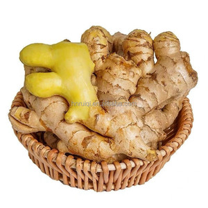 <span class=keywords><strong>Gingembre</strong></span> frais de Chine 150g+ Légumes verts séchés Agriculture Alimentation Vente en gros Exportation Racines de <span class=keywords><strong>gingembre</strong></span> frais - Product Image 5
