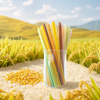 Pailles à boire comestibles personnalisées, véganes, en amidon naturel, biodégradables, en amidon de riz et de maïs, zéro déchet, fournisseur professionnel d'articles de bar Aatae