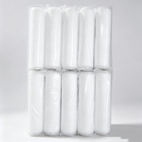 Cartouche filtrante plissée en PP de 10 pouces, fabricant DOE, 0,2 micron, pour filtration d'eau industrielle
