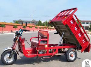 Triciclo agrícola refrigerado por agua del eje del cojinete de carga de la motocicleta 250cc de la <span class=keywords><strong>tres</strong></span>-Rueda de la carga - Product Image 2