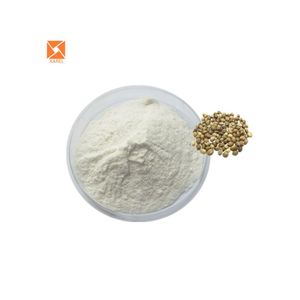 Kräuter extrakt in Bio-Qualität Hanf samen extrakt Pulver protein 99% - Product Image 2