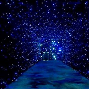 PaitonFactory Cortina de Terciopelo de Doble Capa con Luces LED RGB en Forma de Estrella, Fondo para Fiestas y Clubes, Equipo de Escenario, Luces Móviles DJ DMX512, ¡Gran Venta! - Product Image 2