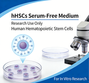 Medio de Cultivo Sin Suero YUNTUO BIO YM003 para Células Endoteliales Humanas (hHUVECs) en Cultivo In <span class=keywords><strong>Vitro</strong></span>, Plástico, 1 Año de Vida Útil - Product Image 2