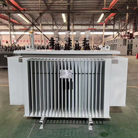 Transformateur de régulation de tension immergé dans l'huile à trois phases, tension de sortie réglable, 50/60Hz, certifié ISO CE pour laboratoire