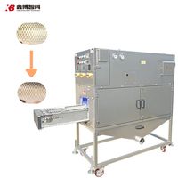 Écailleur automatique à haute pression pour poissons, traitement à faible dommage, conserve la peau du poisson intacte pour les usines de transformation alimentaire