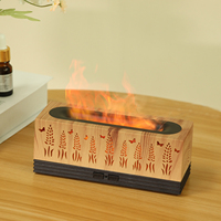 Humidificateur ultrasonique Pierced Botanical 100 ml contrôlé par application avec lumière de flamme