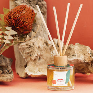 WeWood Vietnam désodorisant diffuseur à roseaux bouteille accessoires bouchons en bois pour parfum - Product Image 4