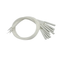 Precio barato Clase A/B Mini elementos de termómetro de resistencia de cerámica con cable de PTFE