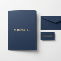 Carpeta de Papel Plegable Personalizada con Impresión, Azul Marino, Laminado Mate, con Logotipo en Dorado, OEM, ODM, Directo de Fábrica