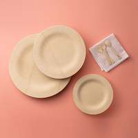 Plateau jetable en bambou et bois, vaisselle biodégradable et écologique, assiettes en bois naturel de 9 pouces pour les fêtes, le camping et les pique-niques