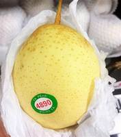 Groothandelsprijs Verse Witte Peer Chinese Leverancier Import Bulk Kroonpeer uit Shandong 12cm