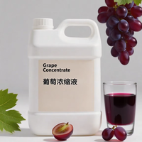 Concentré de jus de raisin sain de qualité alimentaire de haute qualité parfum d'essence de fruits liquide pour boissons recettes enfants adultes