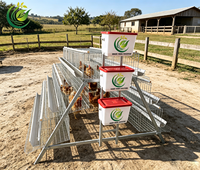 6000 Nouvelles cages à poulets personnalisables galvanisées à chaud à 3 niveaux, haute résistance à la corrosion, longue durée de vie, système de cages superposées pour poulailler