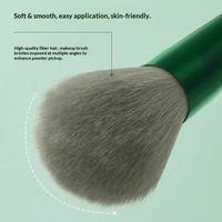 En stock – Nouvel ensemble de 13 pinceaux de maquillage synthétiques vertes quatre saisons pour le visage et les yeux, poils doux, portables, outils de beauté pour débutants